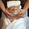 🌺沖縄・那覇に新しくOPEN🌺のサムネイル
