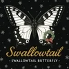 スワローテイル-Swallowtail Butterfly-