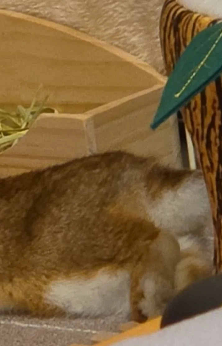連休