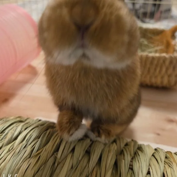 本日もありがとう