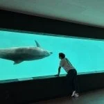 採用担当のアクアマンさん