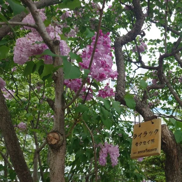 本日出勤しております