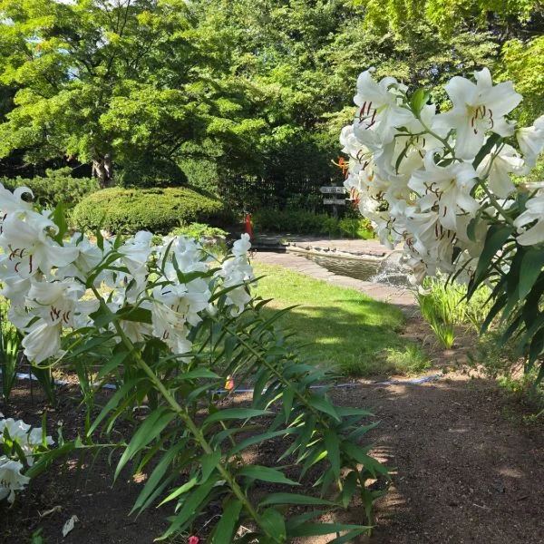 風邪ひいてた