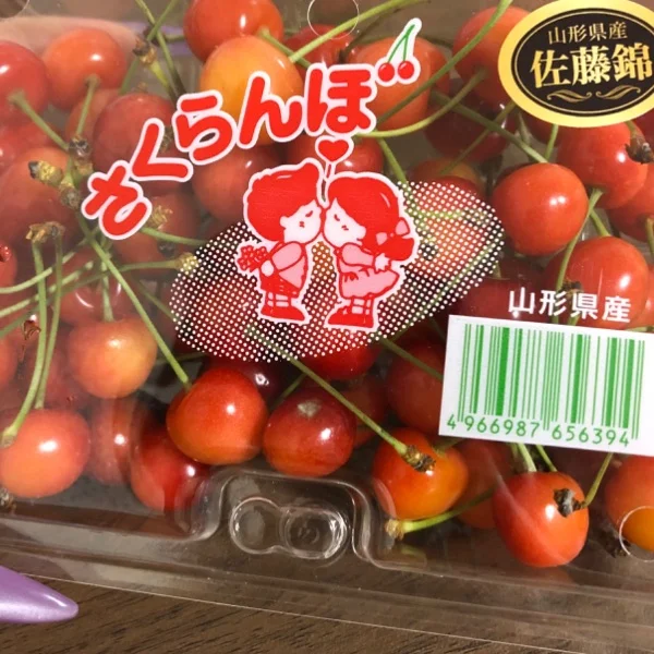 差し入れありがとう🥰🍒´-