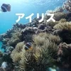 アイリス福山店