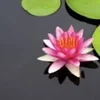 エッホッエッホッ💦💦のサムネイル
