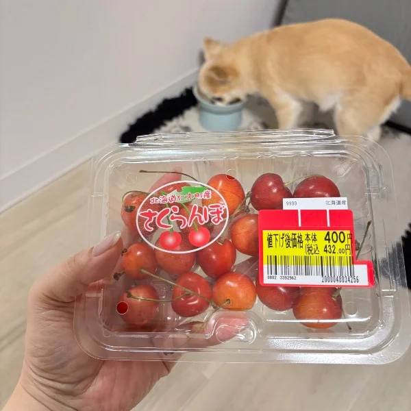 上手いってホント( ᐙ )?