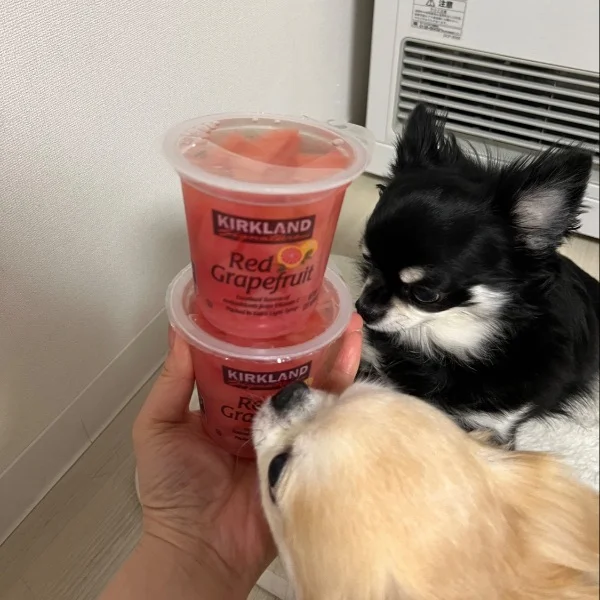 明日から