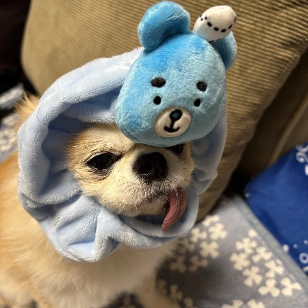 今日も今日とて
