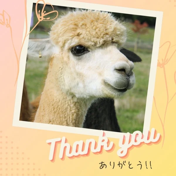 リクエストありがとうございまーす🦩