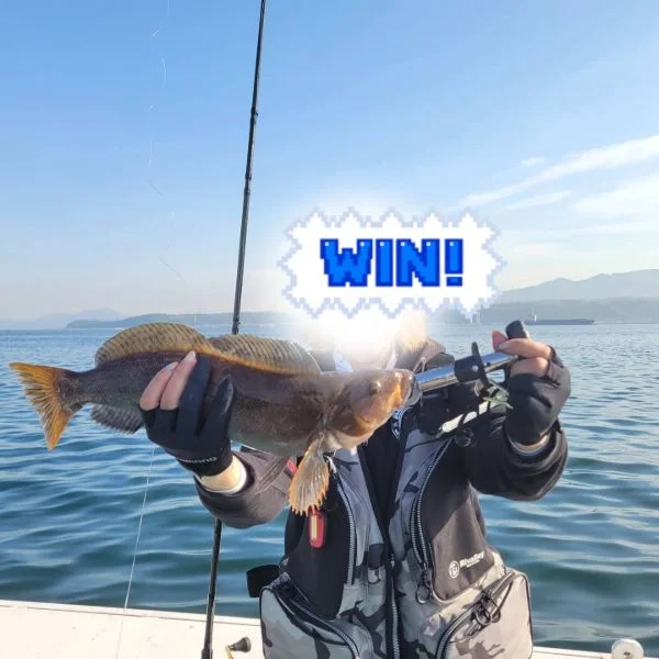 釣れた～🎣