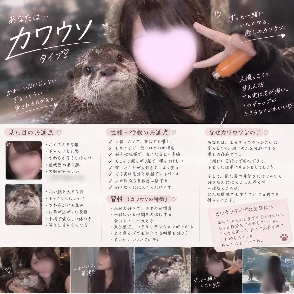 🌸カワウソ…🫪？