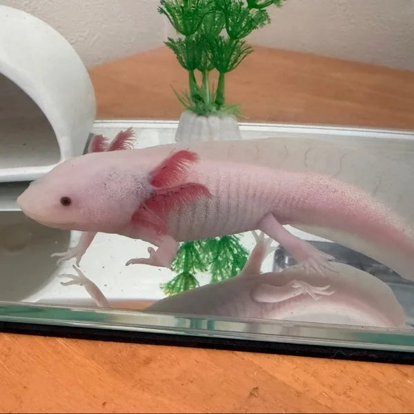 えーん😭