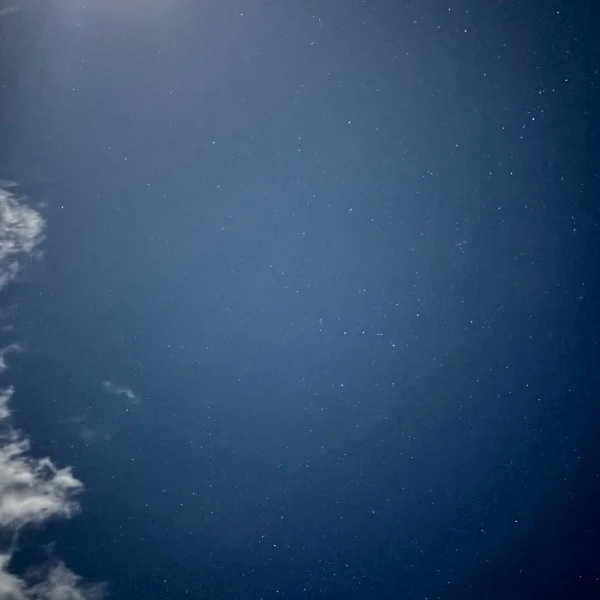 今日もありがとう🌟