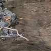 旅行🚗のサムネイル