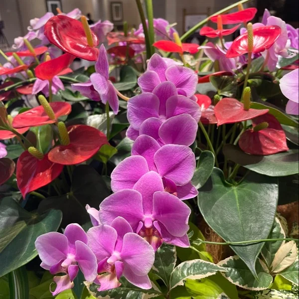 出勤しています😊💖✨