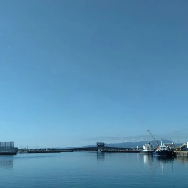 出勤してます😊