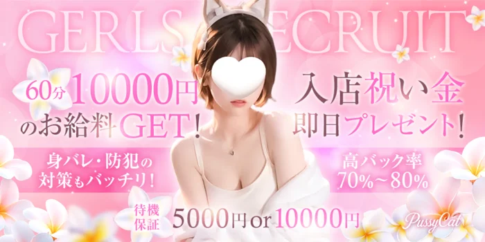 PuccyCat の求人募集イメージ