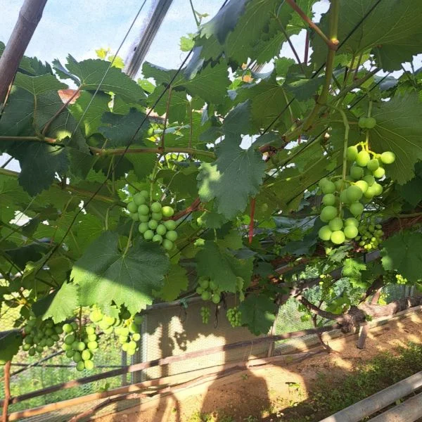 ☀️🌱モーニングルーティン🌱☀️