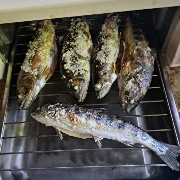 釣り好き🎣