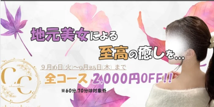chouchou(シュシュ）