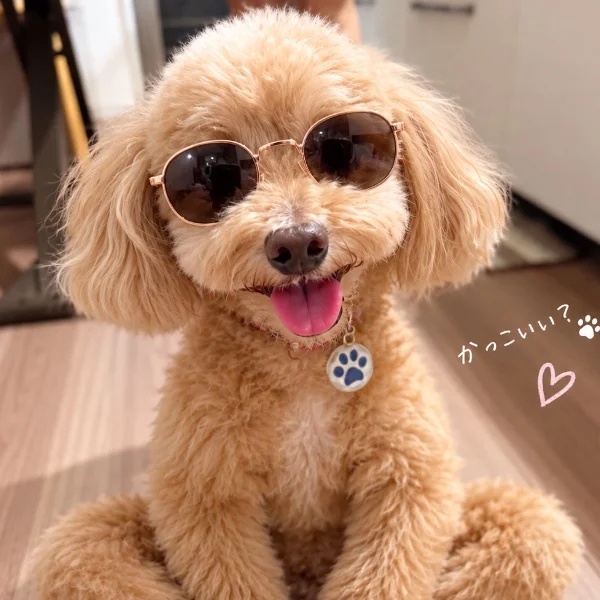 暇だぁ❤️
