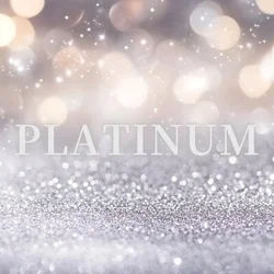 お店のコースその3