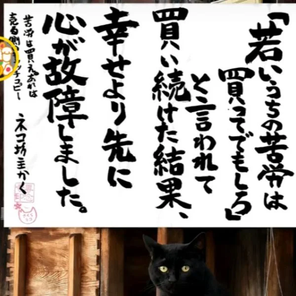 来週の出勤予定です😺