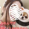 🪷かれんさん