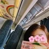 🌸さくらさん🌸
