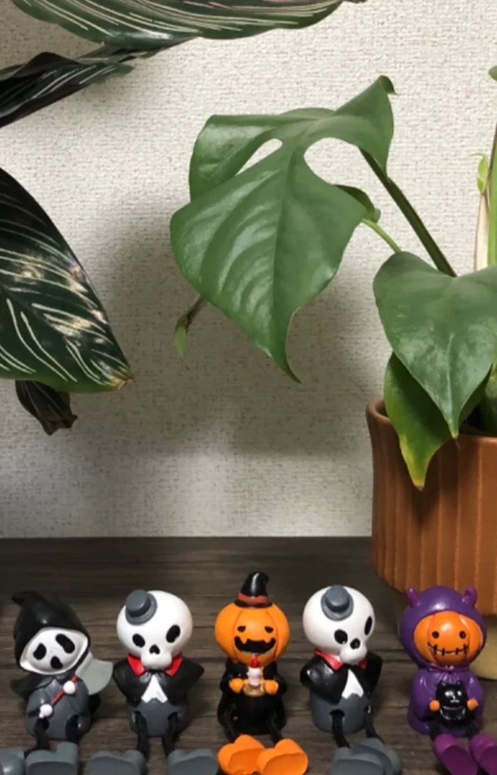 更新🆙