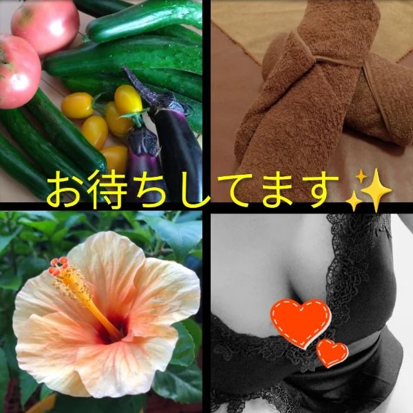 本日いかがですか❓️