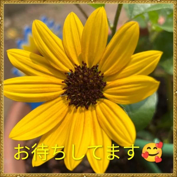 空き枠ご案内します🍀✨
