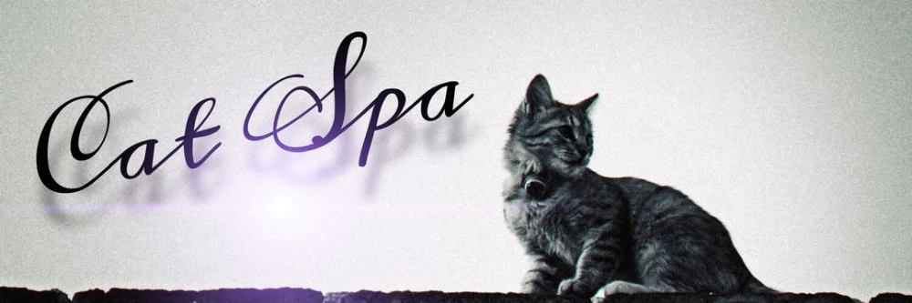 CatSpa - 求人メイン画像