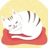 新店ＯＰＥＮにつきセラピストさん募集中のサムネイル