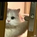 採用担当のイメージです 採用担当のイメージです