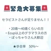 緊急募集！！！のサムネイル