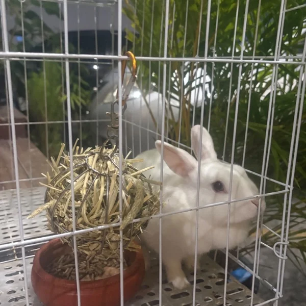本日、6/1(月)ご予約満了。ありがとうございます。