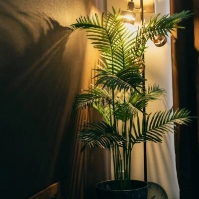 ふわりぃ　〜FUWARII〜のメリットイメージ(2)