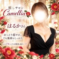 待望の再会♡ はるかさん出勤決定！