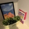 🌷受付担当ブログ4日目🌷のサムネイル