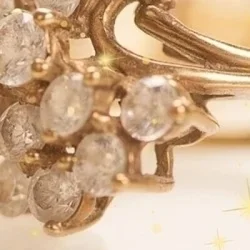 お店のコースその3