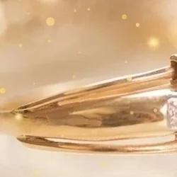 お店のコースその1