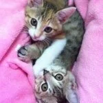 採用担当のこんち😊さん