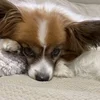 何よりも高収入を得られるように 様々な仕組み！のサムネイル