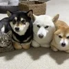 新規オープンにつき、セラピストさん大募集中です！ のサムネイル