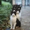 ゆるっと始めてめざせ高収入♡自由すぎるルーム型エステ♪のサムネイル