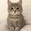 新規オープンにつき、セラピストさん大募集中です！ のサムネイル