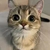 ゆるっと始めてめざせ高収入♡自由すぎるルーム型エステ♪のサムネイル