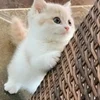 働きやすく、稼ぎやすいお店を作っていきます！！ のサムネイル